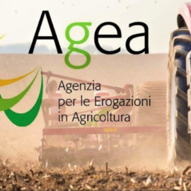 Incentivi dal MASAF per le assicurazioni agricole agevolate